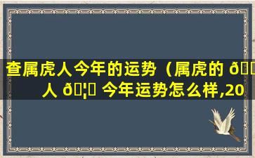 查属虎人今年的运势（属虎的 🐘 人 🦊 今年运势怎么样,2021）